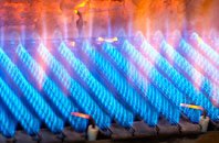 Coddington gas fired boilers